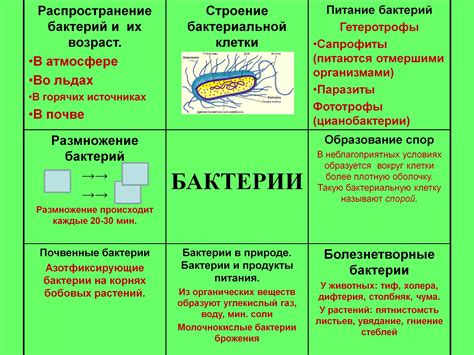 Распространение бактерий и инфекций