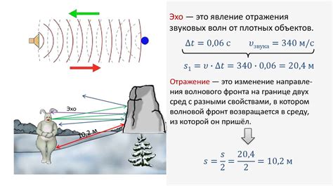 Распространение звуков в водных средах: важная информация