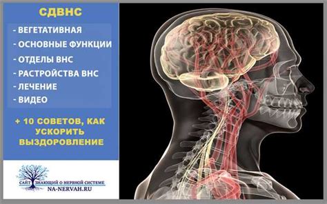 Расстройство нервной системы