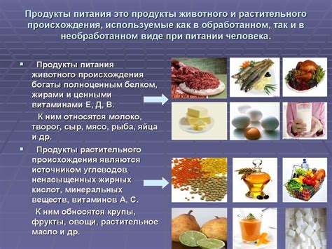 Растительные источники белка и жира