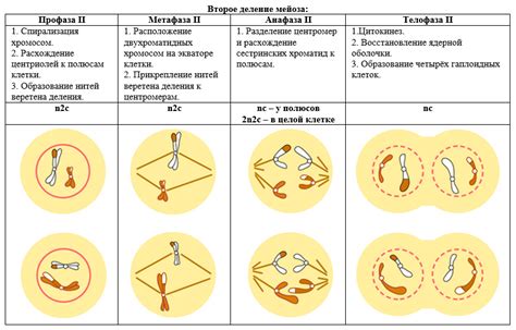 Расхождения в медиаплатформах