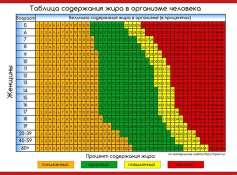 Расчет возраста человека