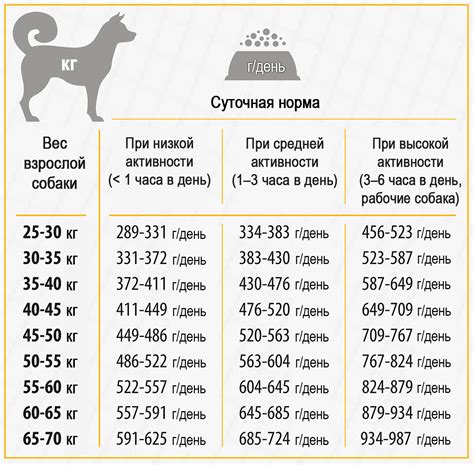 Рацион сухого корма для щенка в 3 месяца