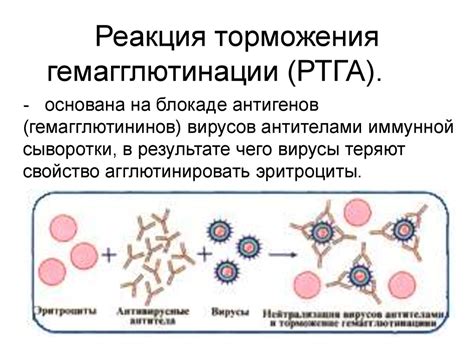 Реакция иммунитета на инжекцию