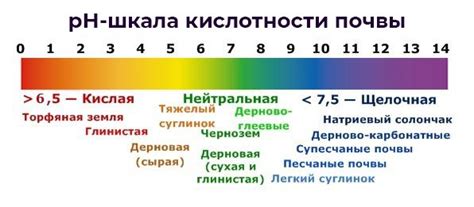 Регулирование кислотности почвы