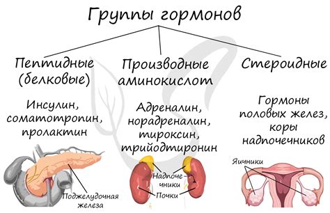 Регуляция работы желез внутренней секреции