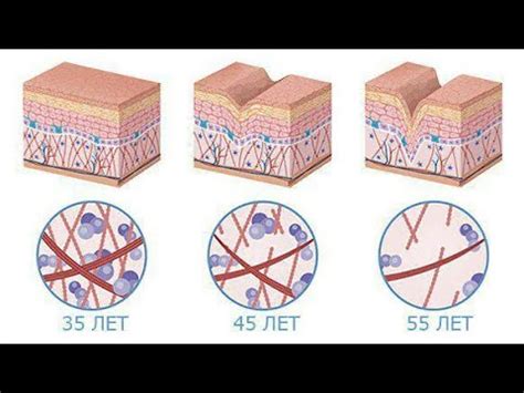 Результаты: реальность или миф?