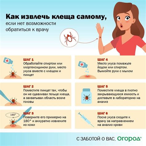 Результаты вытаскивания клеща