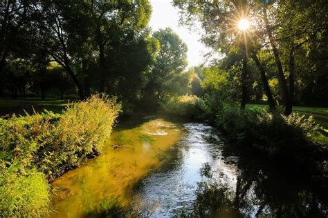 Река Сетунь