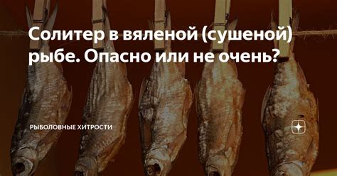 Рекомендации для осмысления снов о "вяленой рыбе, едящей"