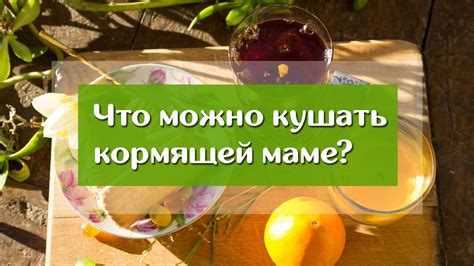 Рекомендации кормящим мамам по употреблению борща