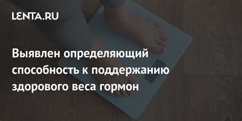 Рекомендации по поддержанию здорового веса