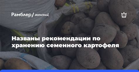 Рекомендации по хранению готовой смеси