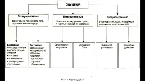 Рефлексия подсознания и связь с материальным миром