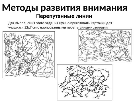 Рефокусирование внимания и поиск порывов