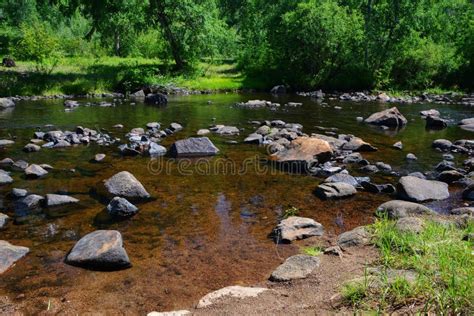 Речная вода имеет большую прозрачность