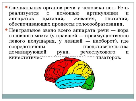 Речь человека: необходимость артикуляции