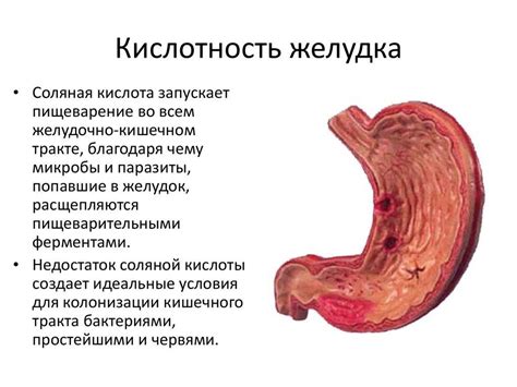 Риск повышения кислотности желудка