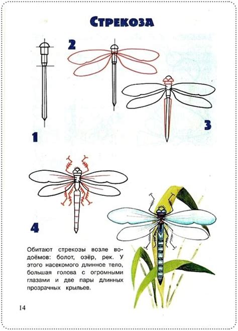 Рисование животных и насекомых