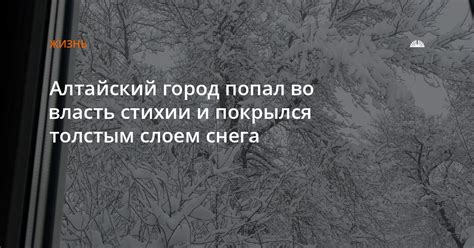 Ричард попал во власть стихии: ужасное происшествие