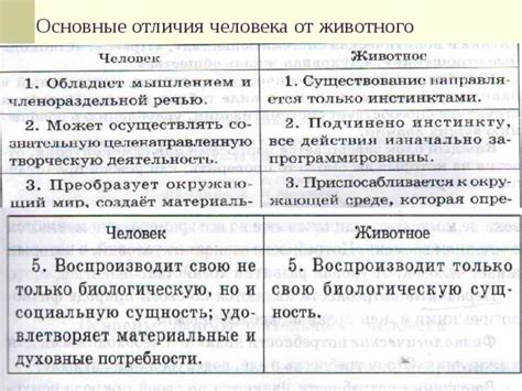 Родители: основные признаки отличия