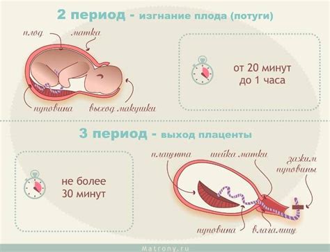 Родовая деятельность: патологии и их признаки