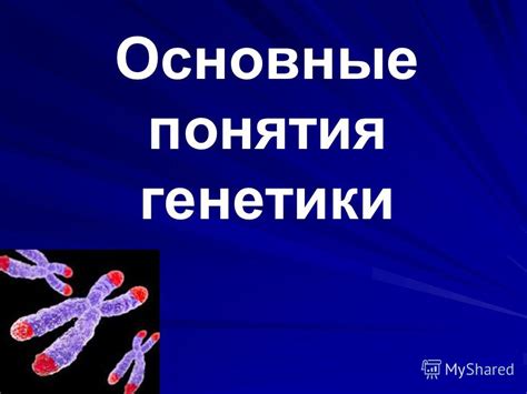 Ролевое влияние генетики на похожесть родственников