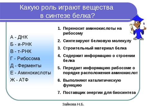 Роль аминокислот в синтезе белка