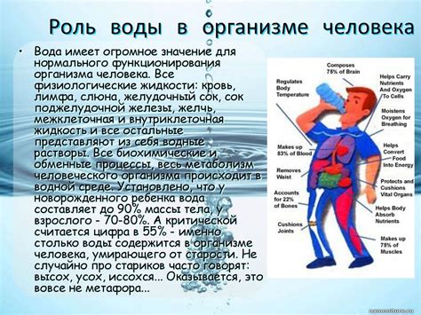 Роль воды в сновидениях: отражение эмоционального состояния или предвестник судьбы?