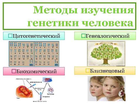 Роль генетики в изменении веса