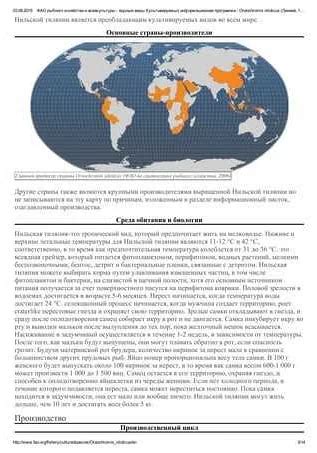 Роль детрита и его распределение