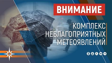 Роль и значение снов, виденных во второй половине ночи в начале недели