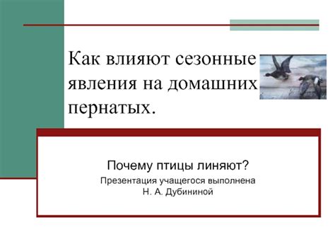 Роль и значение снов о разнообразных домашних пернатых существах