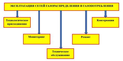 Роль и масштабы сетей газопотребления