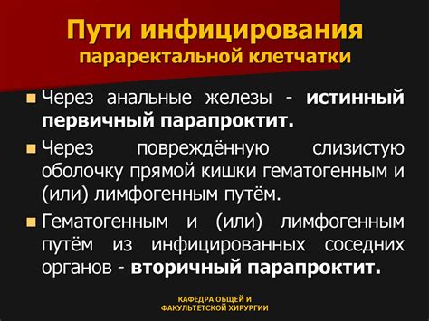 Роль и причины неизменности параректальной клетчатки