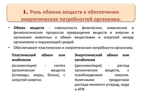 Роль липидного обмена в энергетическом обеспечении организма