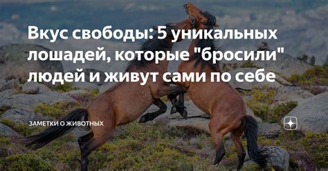 Роль лошадей в сновидениях: воплощение свободы и страсти