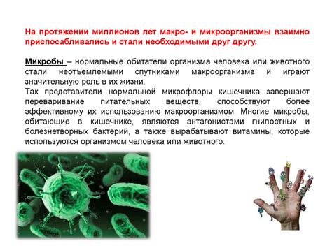 Роль микроорганизмов в формировании желтого осадка