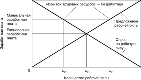 Роль минимальной заработной платы в современной экономике