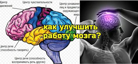 Роль мозга: почему мы переживаем ощущение уже пережитого?