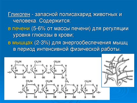 Роль моносахаридов, дисахаридов и полисахаридов в организме