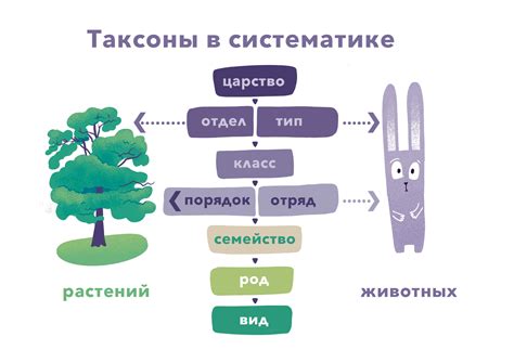 Роль названий в систематике