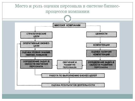 Роль оценки персонала в компании