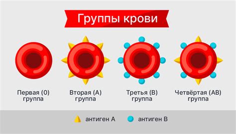 Роль принадлежности гена RHD к полу в Резус-системе крови