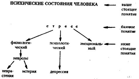 Роль психологической интерпретации морского жителя окуня в мужских сновидениях