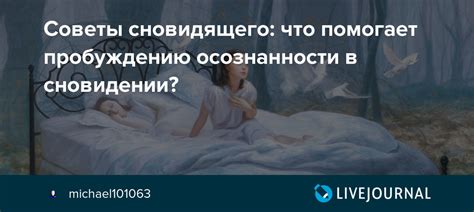 Роль размера кота в сновидении: что можно выяснить о смысле и символике сновидений