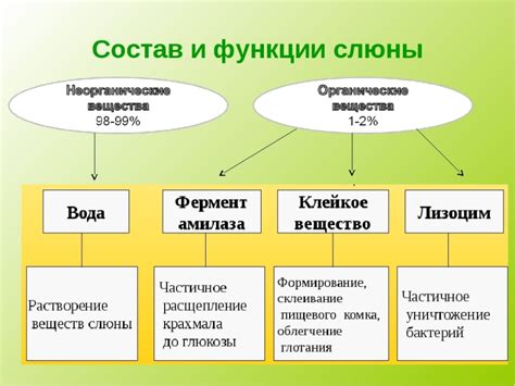 Роль слюны в формировании привкуса