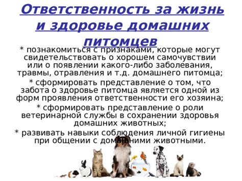 Роль сновидения о защите питомца от людей в общении: возможные интерпретации