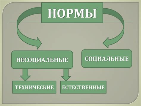 Роль социальных норм в привитии уважения к различиям