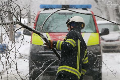 Роль устойчивого основания в предотвращении аварий с участием падающих деревьев